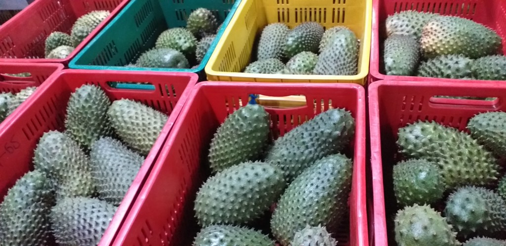 Guanabana