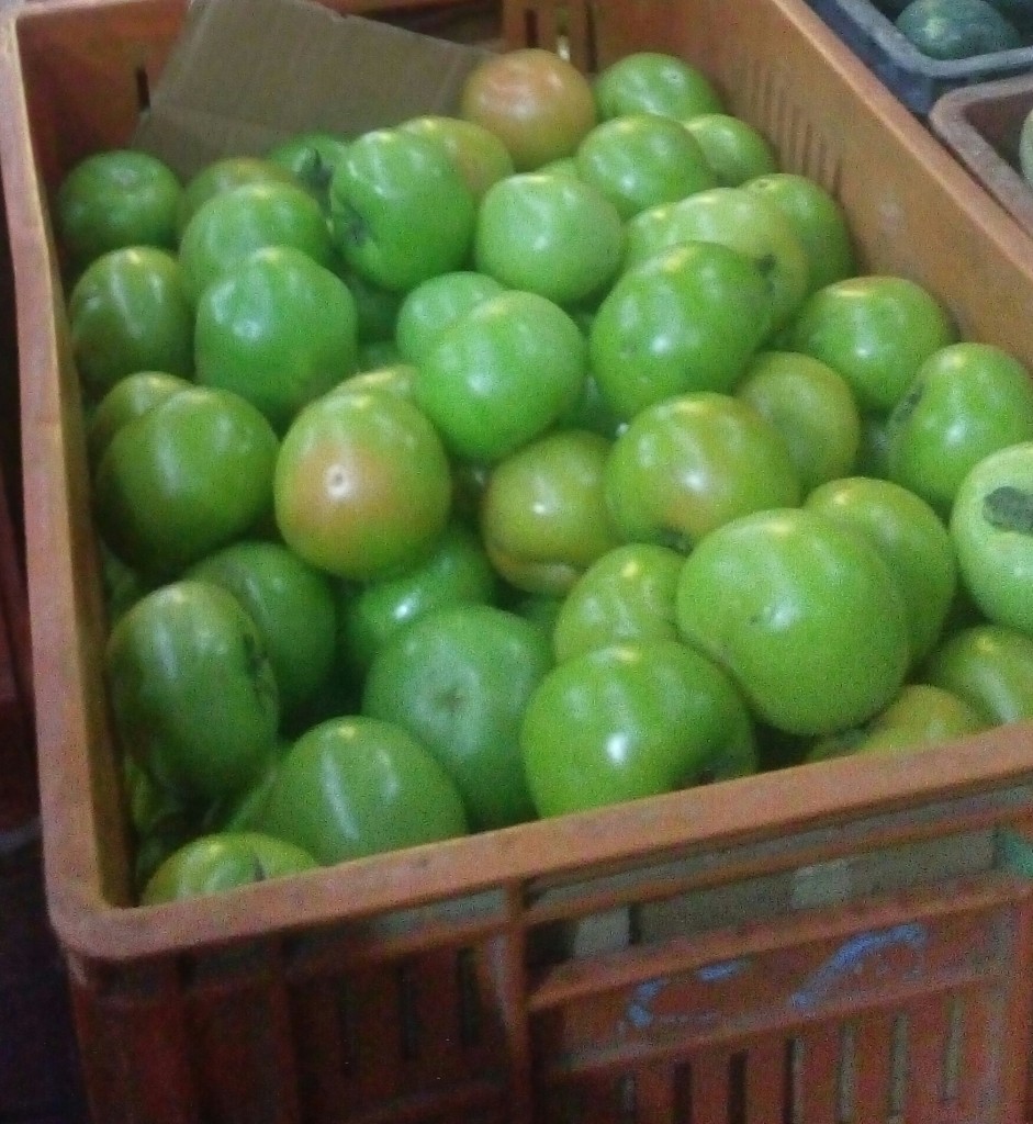 Tomate chonto selecto