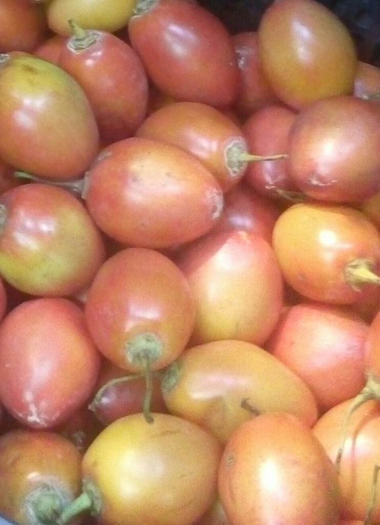 Tomate de arbol