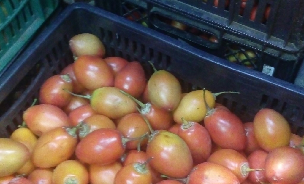 Tomate de arbol