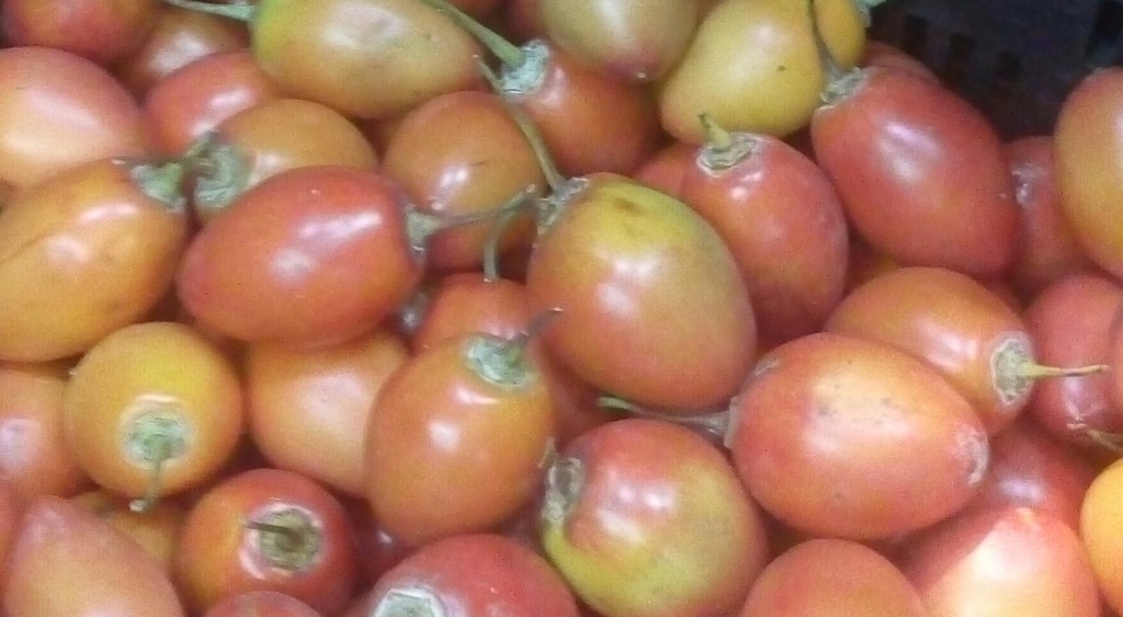 Tomate de arbol