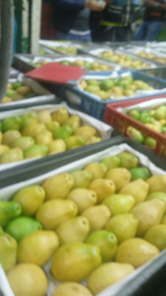 Guayaba pera