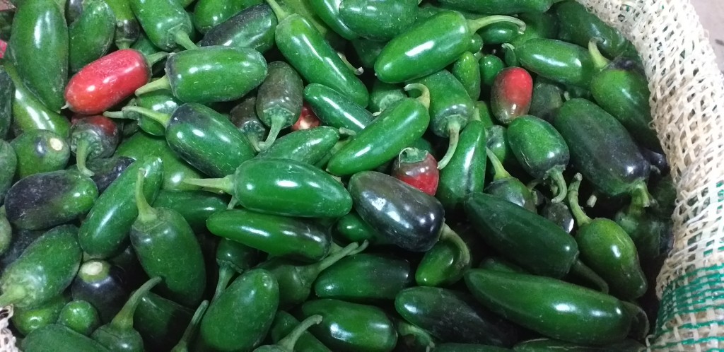 Jalapeño