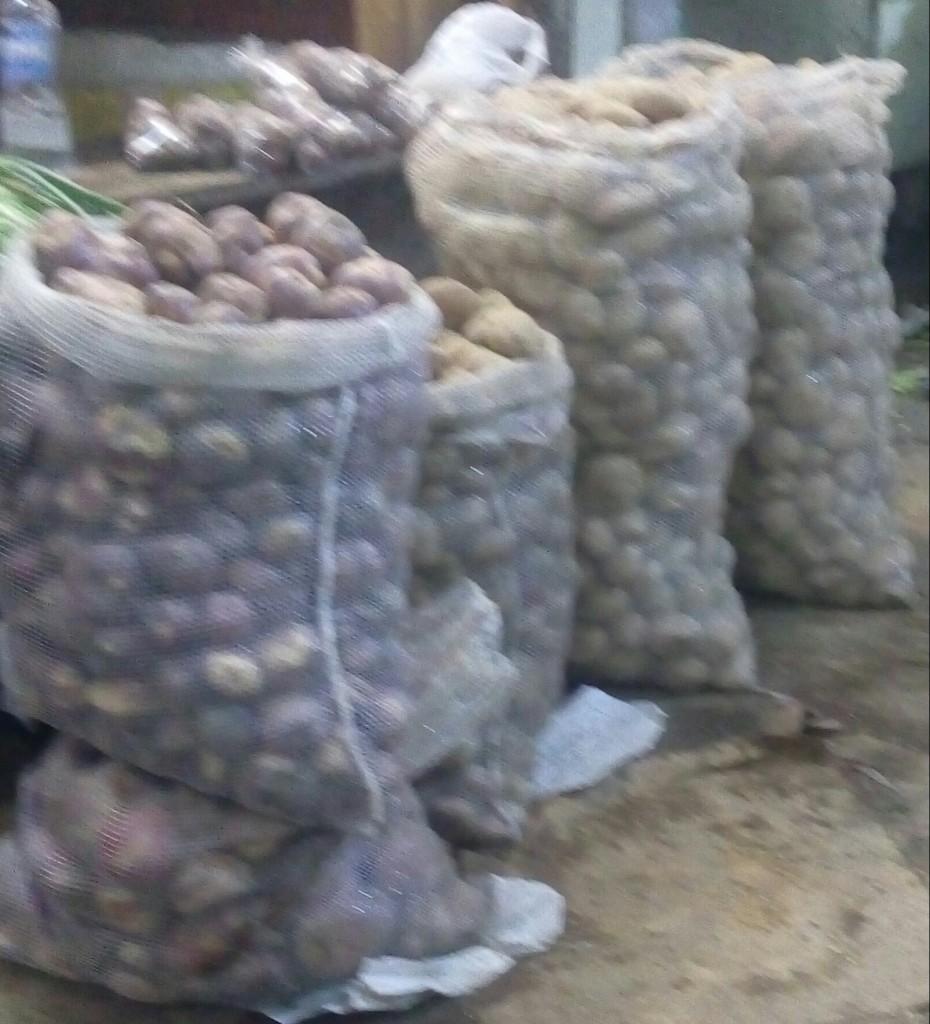 Papa pastusa