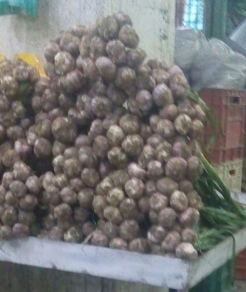 Ajo en rama