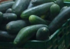Pepino cohombro