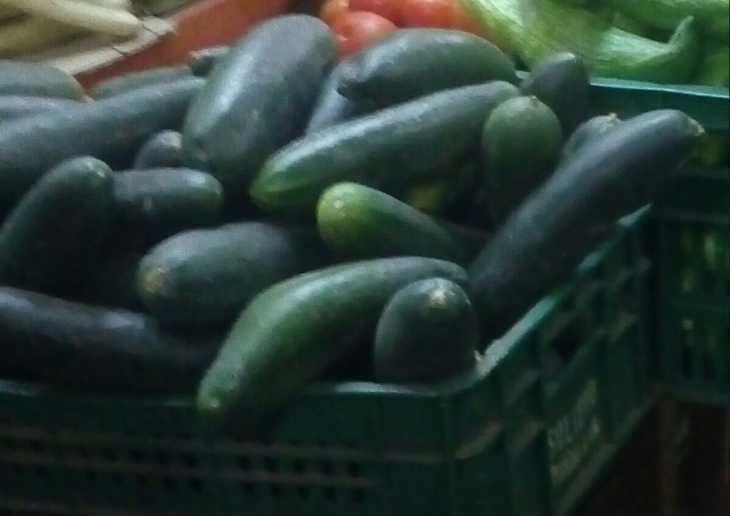 Pepino cohombro