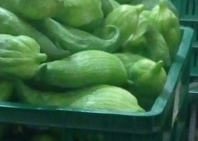 Pepino para guiso