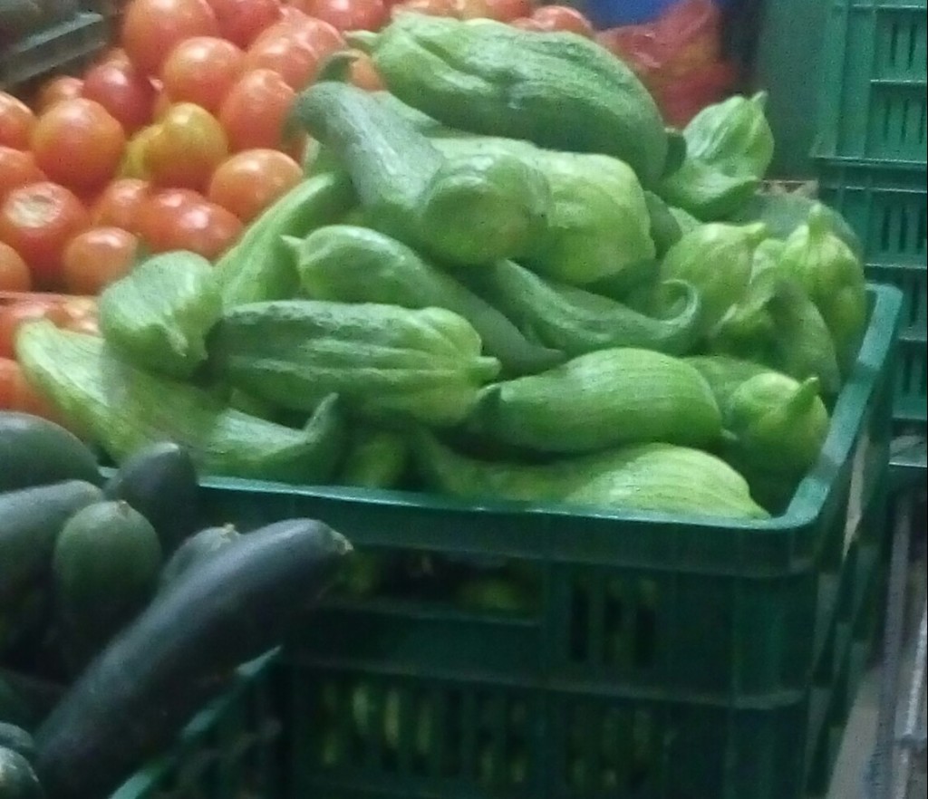 Pepino para guiso