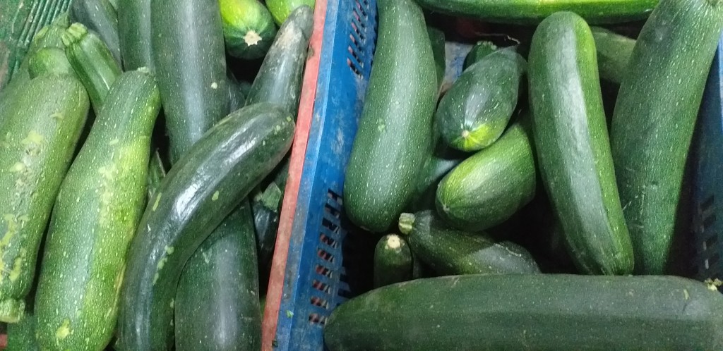 Zucchini verde