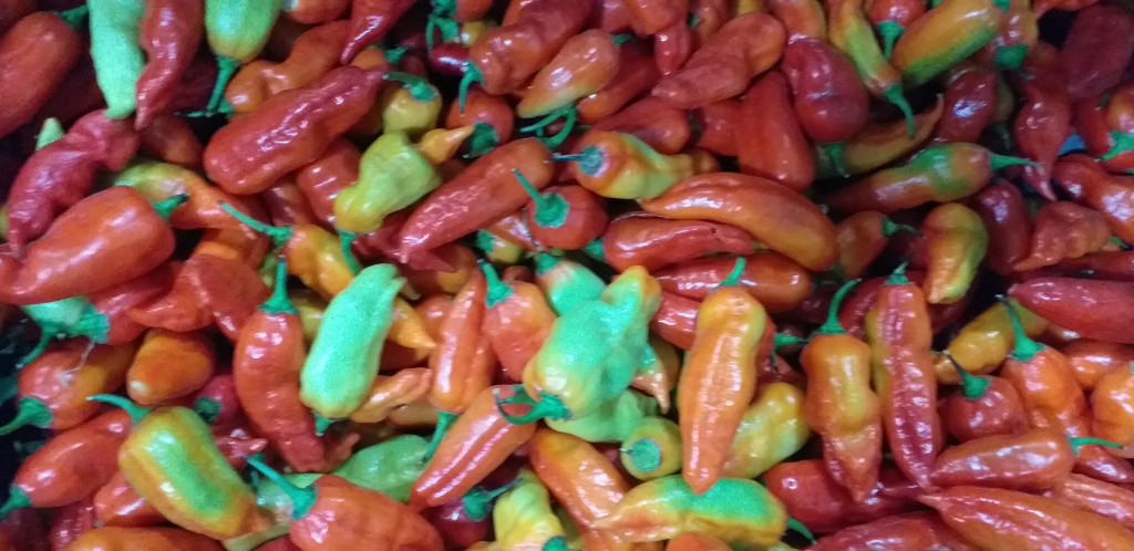 Aji dulce