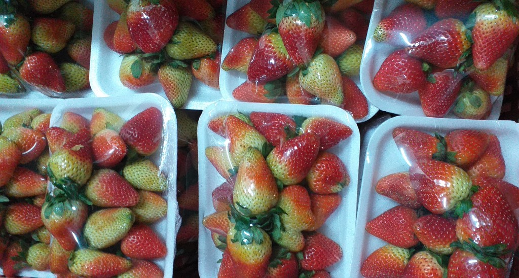 Fresa jumbo en bandeja