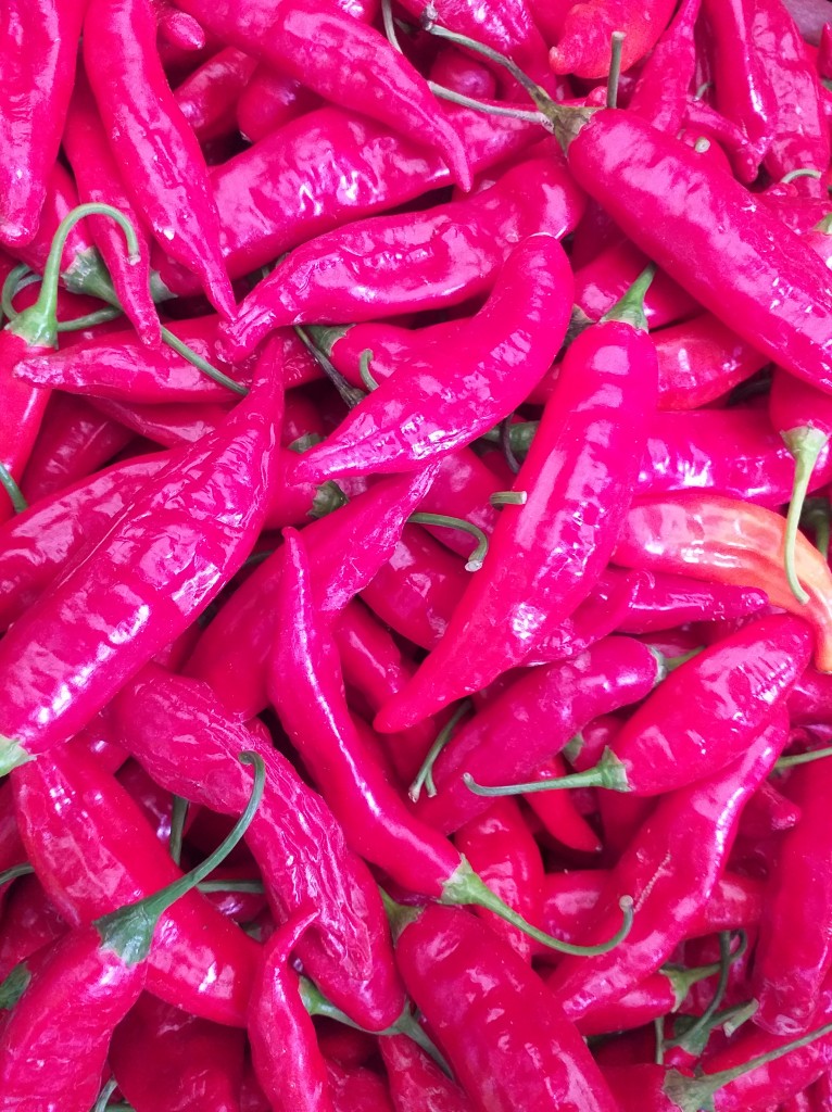 Aji referencia del arbol