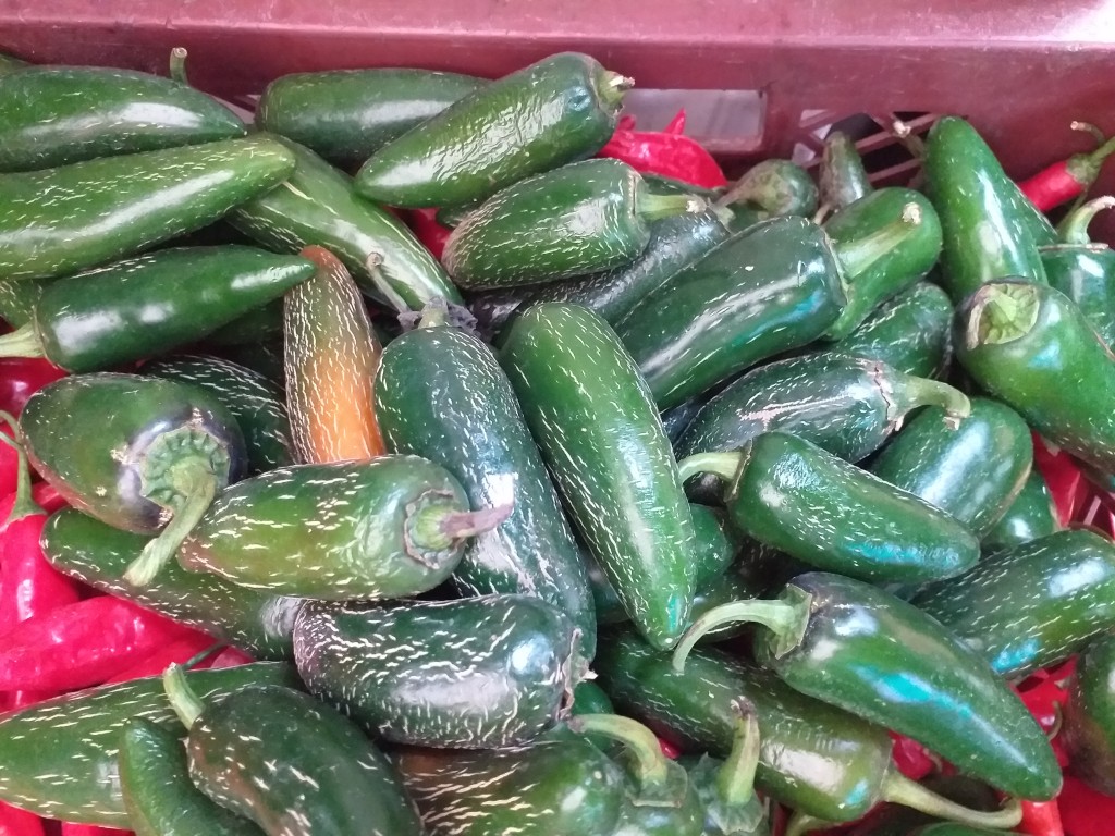 Aji referencia jalapeño