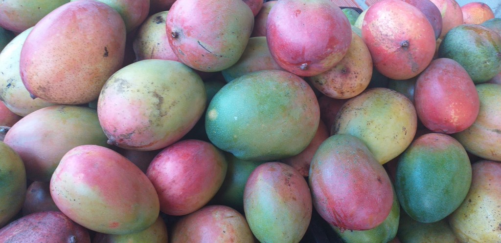 Mango farchi