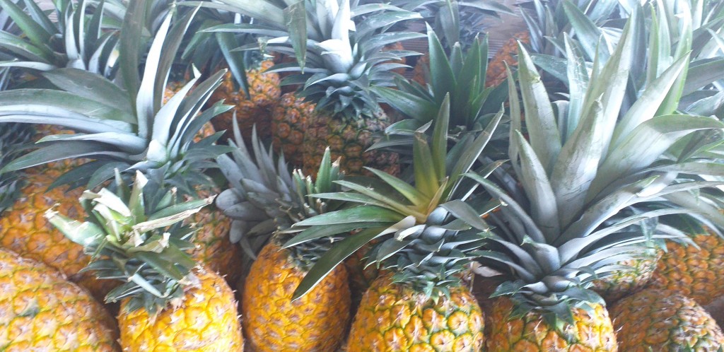 Piña oromiel