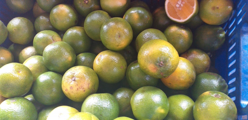 Naranja valencia