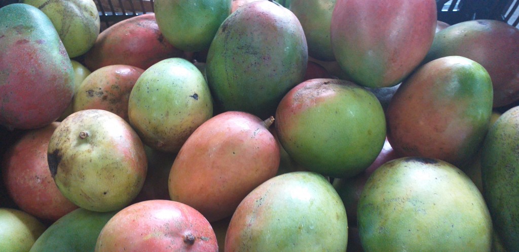 Mango farchi