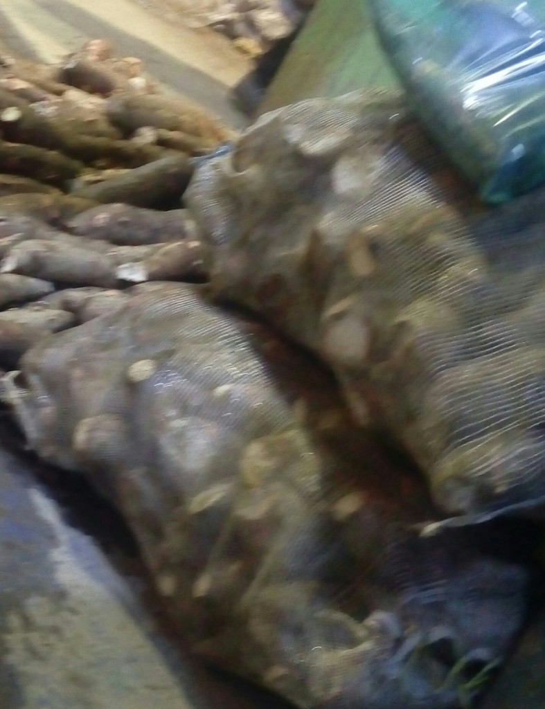 Yuca