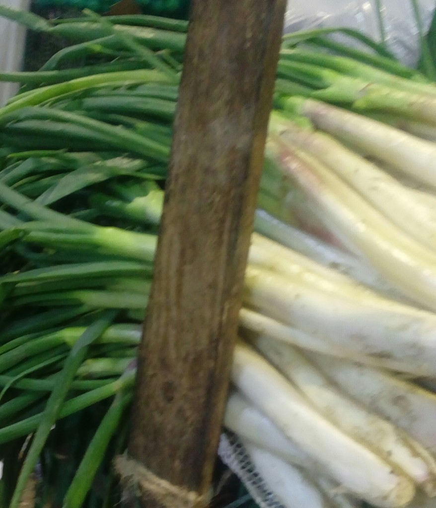 Cebolla larga