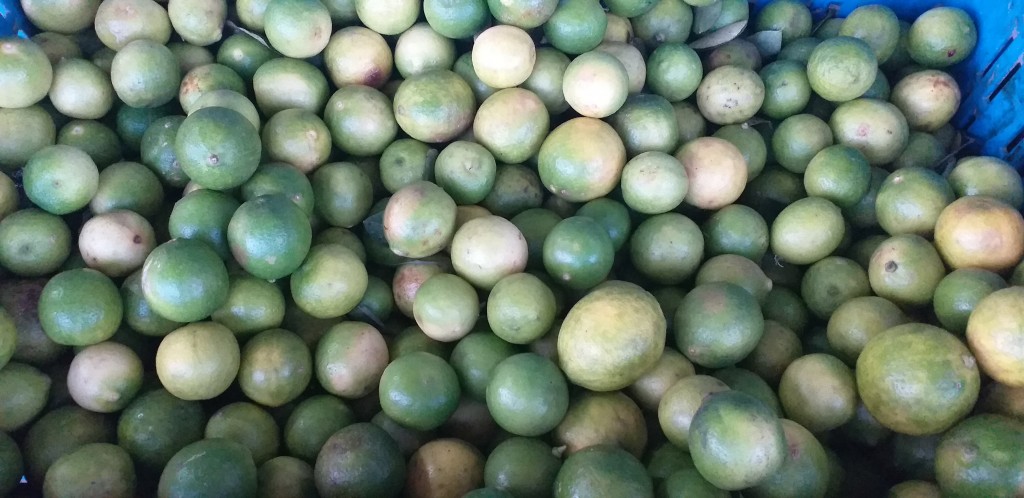 Limon criollo