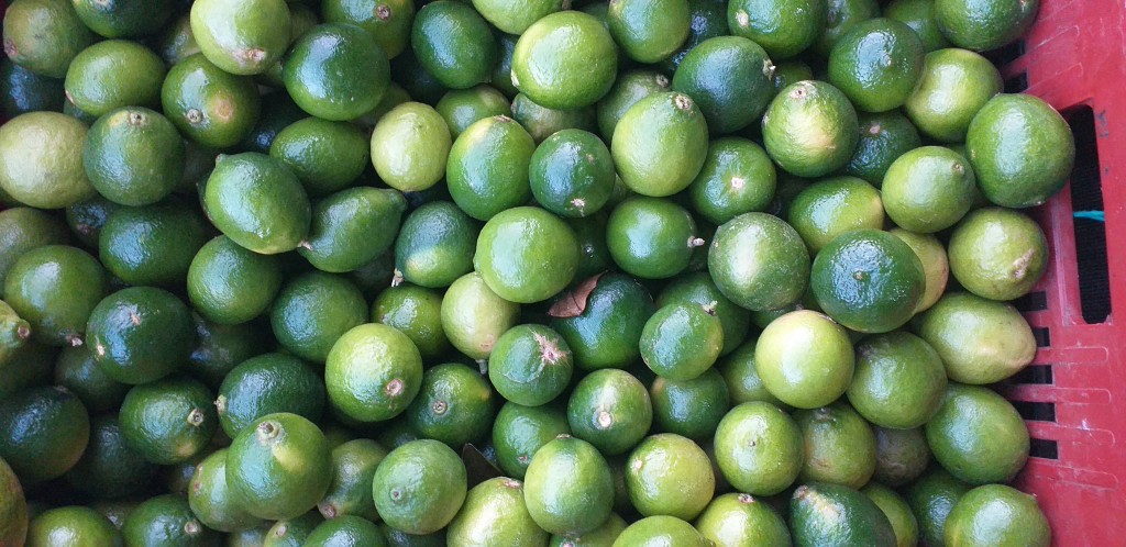 Limon tahiti delgado