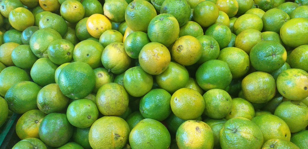 Naranja valencia 2da