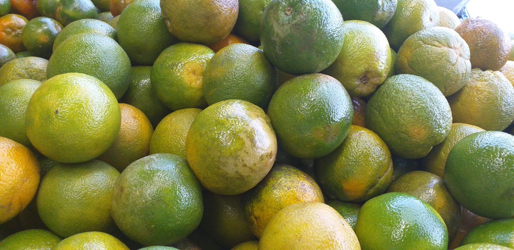 Naranja washington