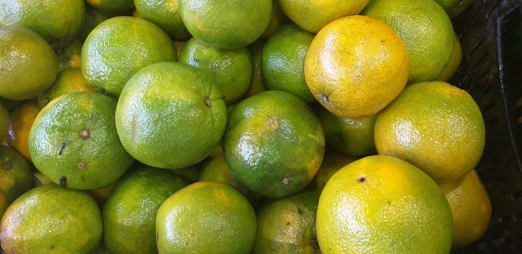 Naranja valencia 1ra