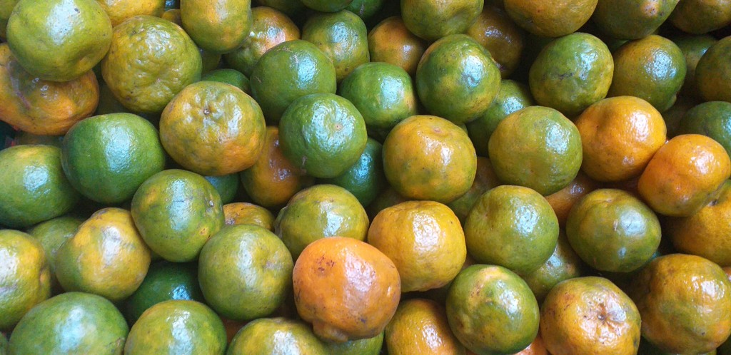 Mandarina oneco 2da
