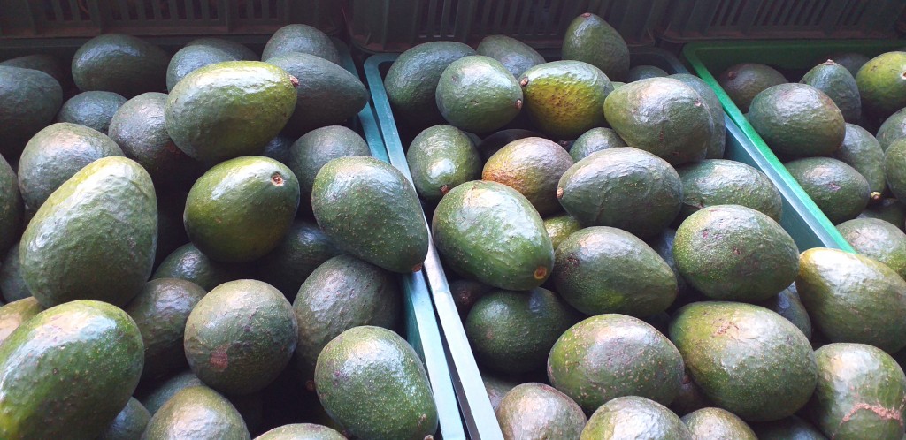 Aguacate booth 8