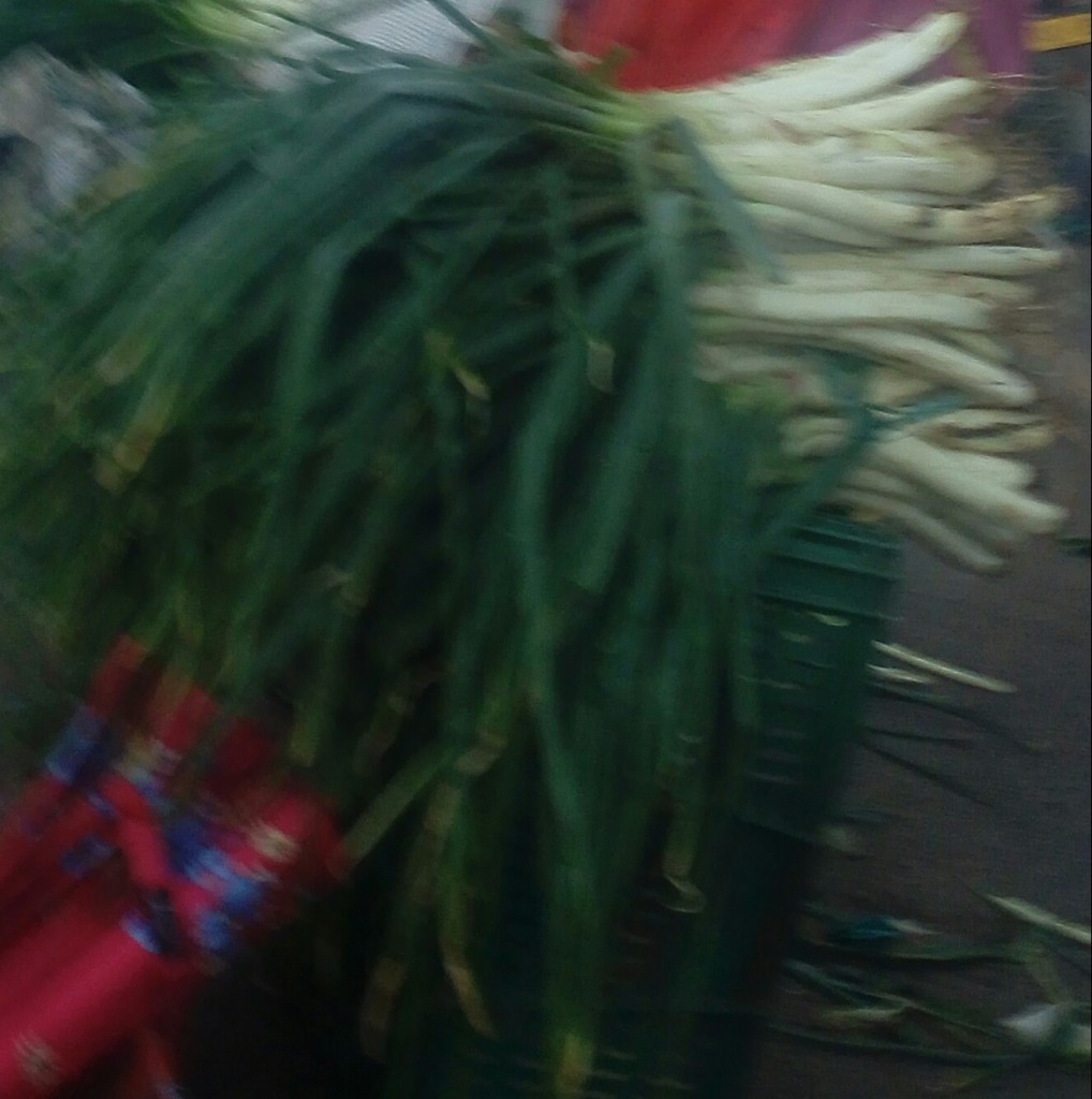 Cebolla larga