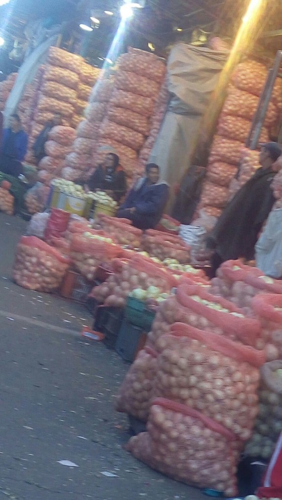 Cebolla cabezona