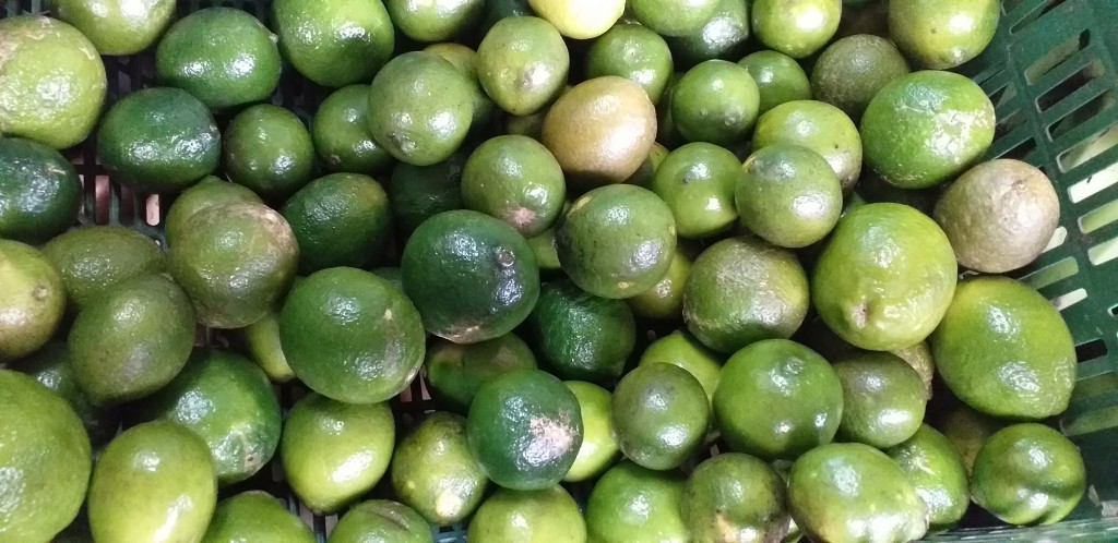 Limon mandarino