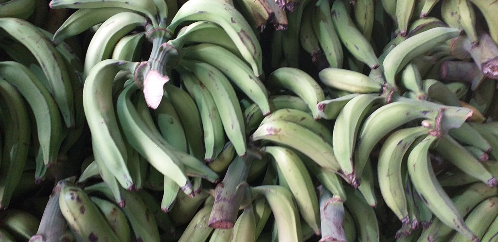 Platano verde