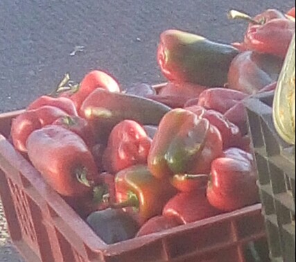 Pimenton rojo