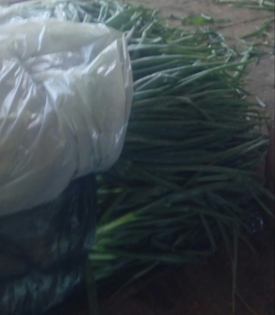 Cebolla larga