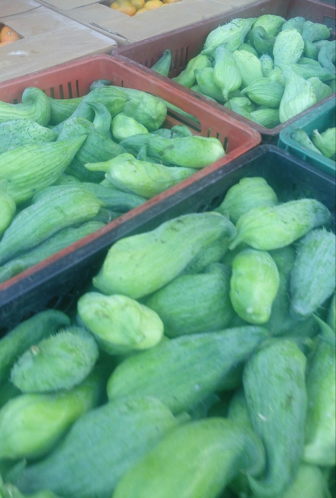 Pepino para guiso