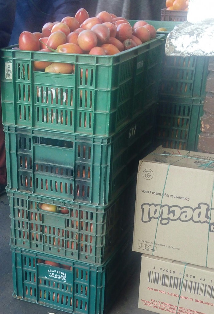Tomate de arbol