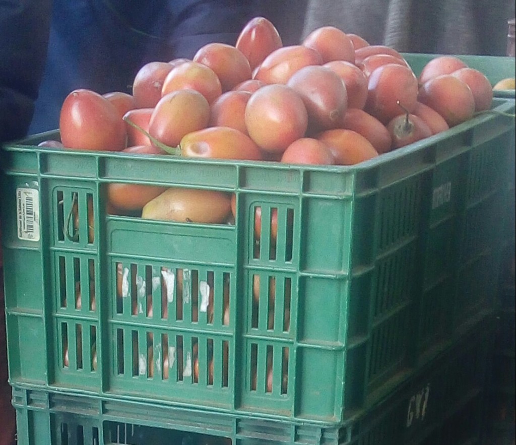 Tomate de arbol