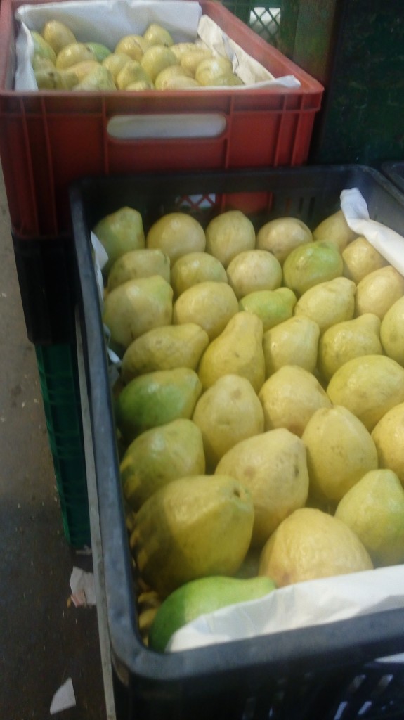 Guayaba pera