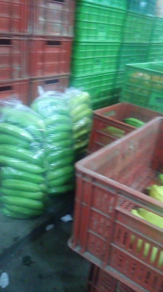 Platano verde
