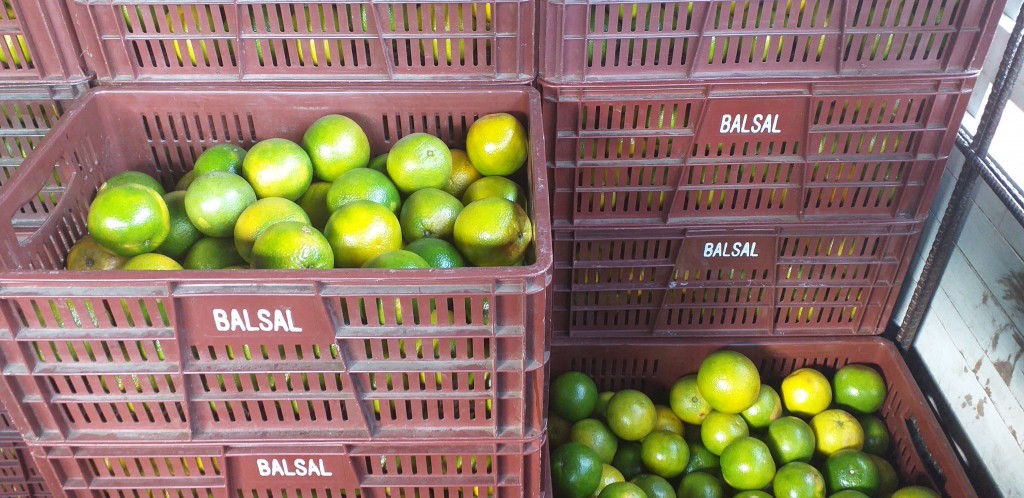 Naranja valencia extra
