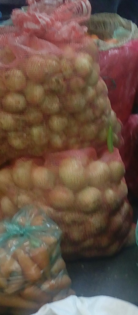 Cebolla cabezona