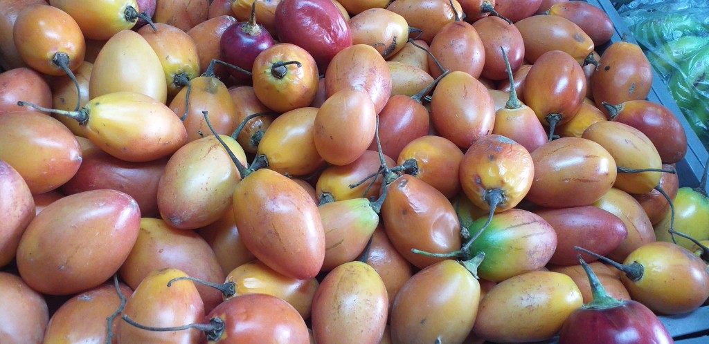 Tomate de arbol para pulpa