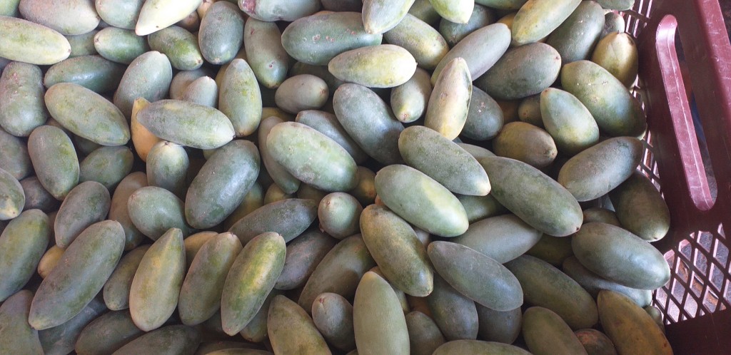 Curuba larga