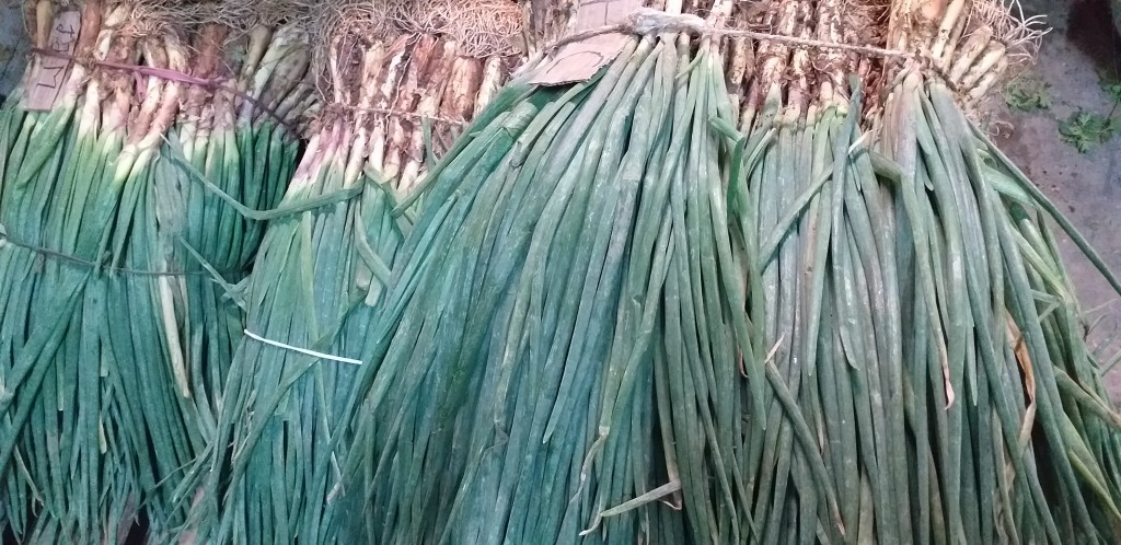 Cebolla de rama
