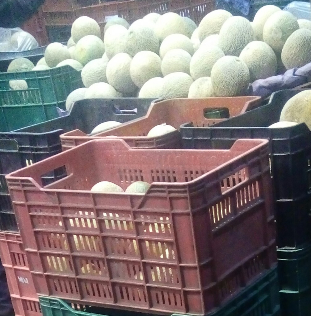 Melon