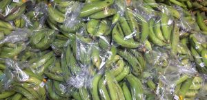 Platano verde