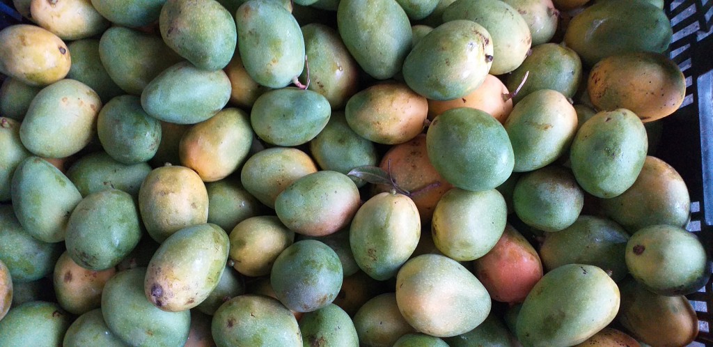 Mango de azucar